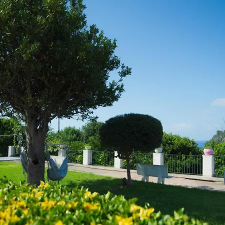 Belvedere Bed and Breakfast