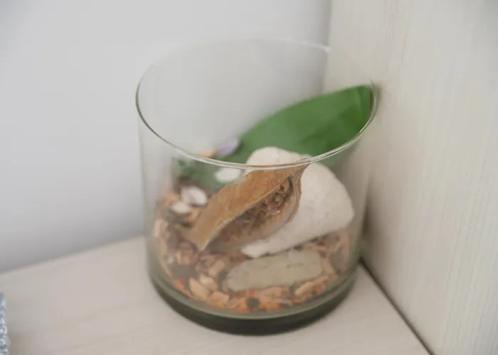 Alojamento de Acomodação e Pequeno-almoço Belvedere