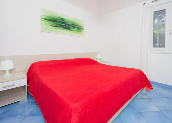 Alojamento de Acomodação e Pequeno-almoço Belvedere