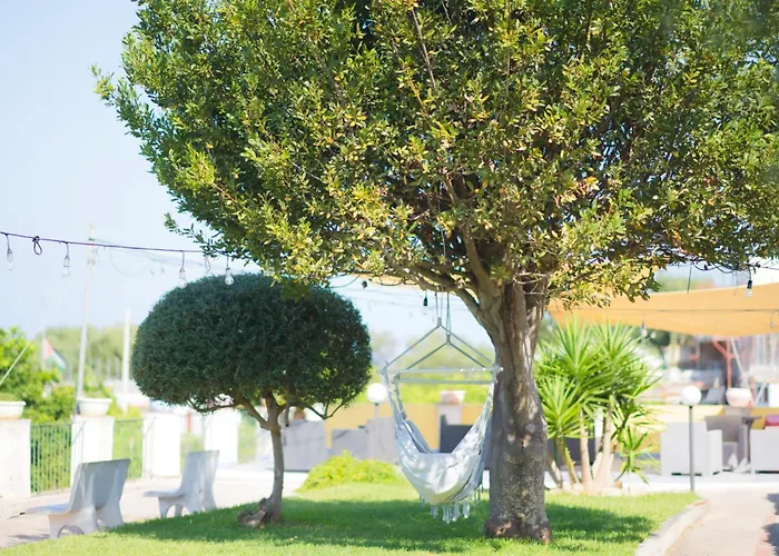 Alojamento de Acomodação e Pequeno-almoço Belvedere