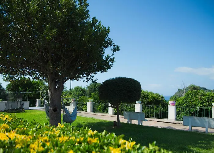 Belvedere Alojamento de Acomodação e Pequeno-almoço